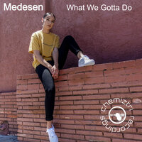 What We Gotta Do - Medesen