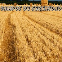 Cafe con leche y sonido - Musica para ambientar la casa
