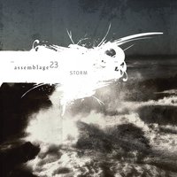 You Haven't Earned It - Assemblage 23