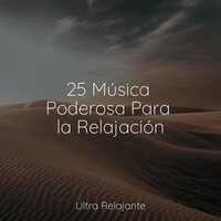 Zen Absoluto - Dormir Sol & Sons da Natureza & Academia de Música con Sonidos de la Naturaleza