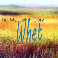 Groove On - The Mosaic Theory