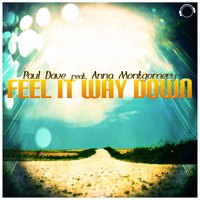 Feel It Way Down - Paul Dave