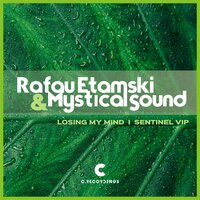 Losing My Mind - Rafau Etamski