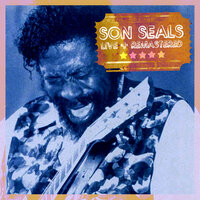 Stormy Monday (Encore) - Son Seals & Johnny Winter