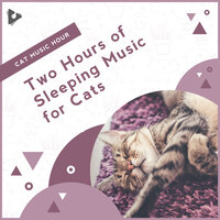 Calm Piano in the Forest - Cat Music Hour & Music For Cats & Music for Kittens