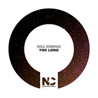 Too Long - Soul Essence & Nu Ground Foundation