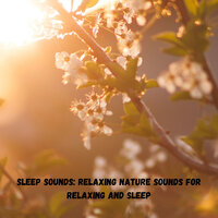 Meditative state - Miracle Tones & Focus & Spa Music Relaxation