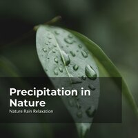 Earthy Lavish Storm - Rain Recorders & Rainfall & Nature Rain Relaxation