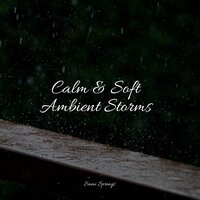 River, Medium, Stream, Creek - Meditative Music Guru & Sons da natureza HD & Baby Sweet Dream