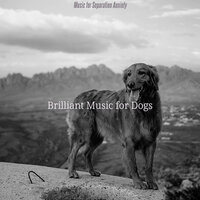 Subdued Moods for Separation Anxiety - Brilliant Music for Dogs
