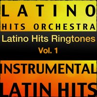 Esta Llorando Mi Corazón (Tribute To Beto y Sus Canarios) - Latino Hits Orchestra