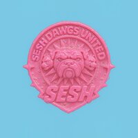 THROUGH THE BACK - t e s t p r e s s & SIKOTI & Sesh