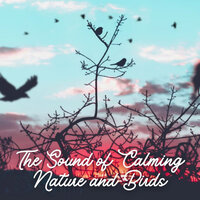 Peaceful Habitat - Natural Sound Makers & The Nature Soundscapes & Sounds Of Nature Relaxation
