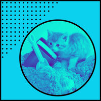Cheerful Jazz Saxophone - Vibe for Cute Kitten - Música para gatos