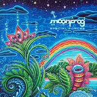 Tfin - Moon Frog