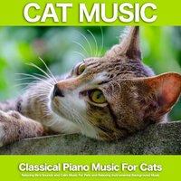Rhapsody In Blue - Gershwin - Nature Sounds and Classical Piano - Background Classical Music and Bird Sounds - Cat Music - Relaxing Music For Cats - Cat Music & Music For Pets & Music For Cats