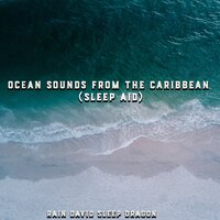 Calming Waters - Rain David Sleep Dragon