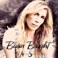 If You Burn It Down - Nicole Sweet