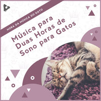 Melhor Piano para Gatinhos - Hora da Música do Gato & Música Relaxante para Gatos & Música de Gatinhos Calmante