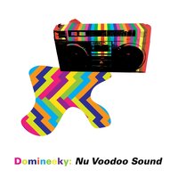 Kinetic Funk - Domineeky & Tru Roots Project