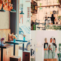 Paradise Like Backdrops for Cooking Classes - Study Time
