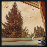 Shelter - Symeze & Lazy Tree Records
