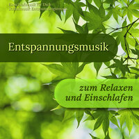 Konzentration - Einschlafmusik für Dich & Schlafmusik & Entspannungsmusik