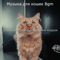 Музыка (Котята) - Музыка для кошек Bgm