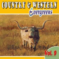 I've Got the Hestiation Blues - Jimmie Widener