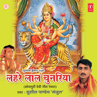 Goonje Jaikara - Sushil Pandey Manjul