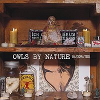 Ferris Wheel - Owls By Nature