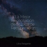 Canción Élfica - Música Zen Relaxante & Relajante Musica & Sonidos de la Naturaleza Relajacion
