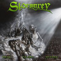 Masquerde - Stormgrey