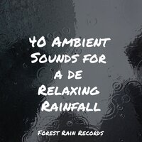 Quiet Bird Song - SleepTherapy & Rainfall & Rain Hard