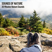 20 Minutes of Nature Sounds - Sleeping Music Experience & Dog Music & deep sleep music collective