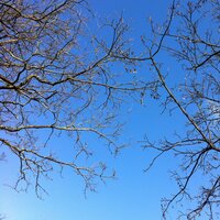 Waters Flowing - Heavens Air