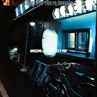 Vintage Backdrops for Tokyo Dreams - Amazing Japanese City Pop