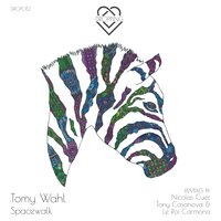 Spacewalk - Tomy Wahl & Nicolas Cuer