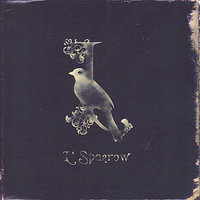 The Pharmacists - L'Spaerow