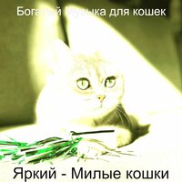 Звуки (Подчеркнутые кошки) - Богатый Музыка для кошек
