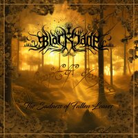 Eärendil - Black Jade