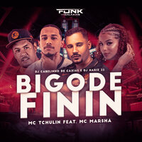 Bigode Finin - MC Marsha & Dj Cabelinho de Caxias & DJ NARIZ 22 & Mc Tchulin