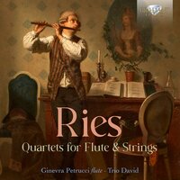 Flute Quartet No. 2 in E Minor, Op. 145: IV. Rondo, allegro Moderato - Ginevra Petrucci & Trio David
