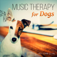 Safe at Home - Pet Care Club