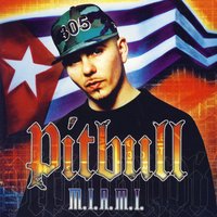 Melting Pot - Pitbull & Trick Daddy