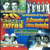 Tengo Miedo - Los Relampagos del Norte