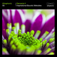 Pond Life - Ultraphonic
