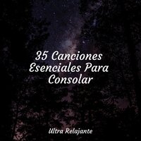 Una Lección De Relajación - Sonidos De Lluvia y Tormentas & Musica para Meditar Especialistas & Fabricantes De Lluvia
