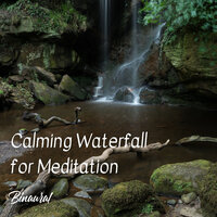 Relaxing Summer Days - Binaural Beats & Relaxing Music Playlist & White Noise Radiance