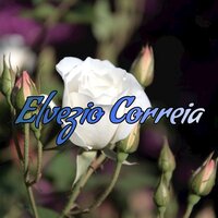 To Bulk - Elvezio Correia